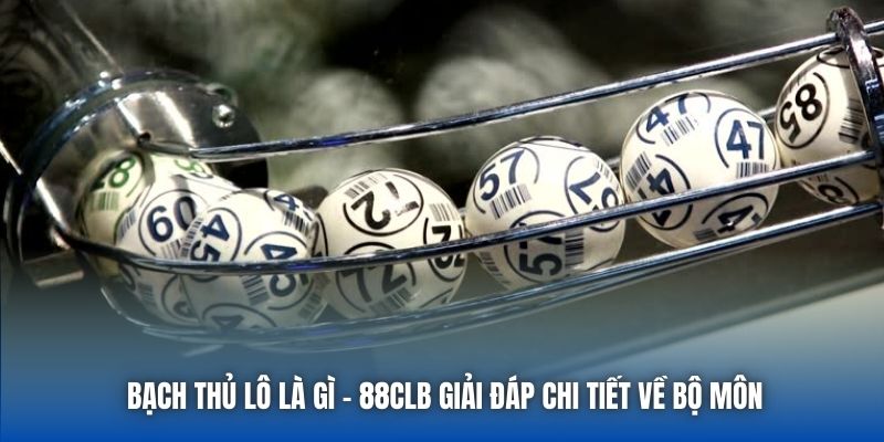Bạch Thủ Lô Là Gì - 88CLB Giải Đáp Chi Tiết Về Bộ Môn