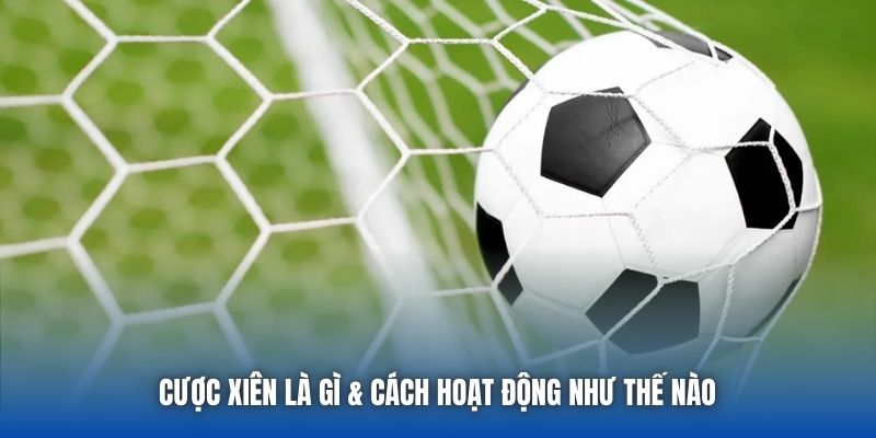 Cược xiên là gì & cách hoạt động như thế nào 