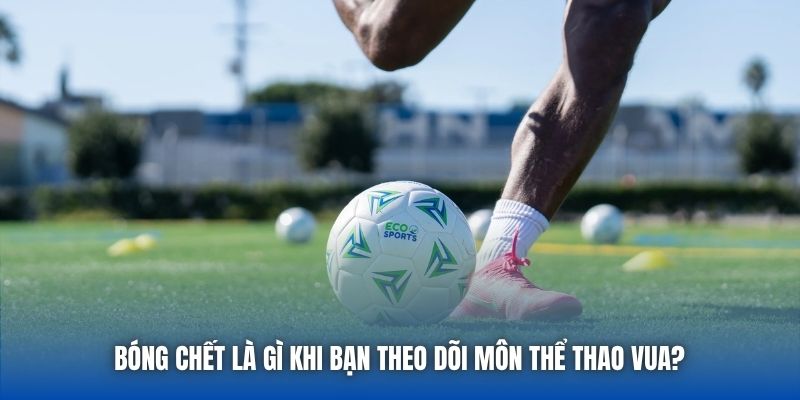 Bóng Chết Là Gì Khi Bạn Theo Dõi Môn Thể Thao Vua?
